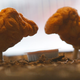 Illustration for article titled Public Schools Chicken Nuggets Dont Contain Much Chicken